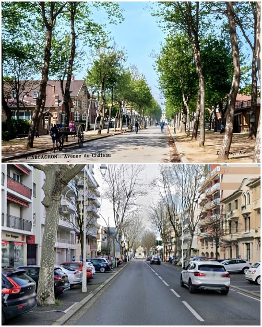 Archive historique : Vers 1900 l'avenue du Général-de-Gaulle. (avenue du Château à l'époque)