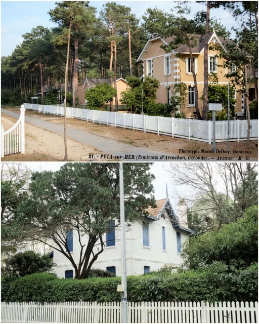 Archive historique : Vers 1930 Villa Les Arbouses 4 allée des Roses. Pyla sur mer La végétation est en...