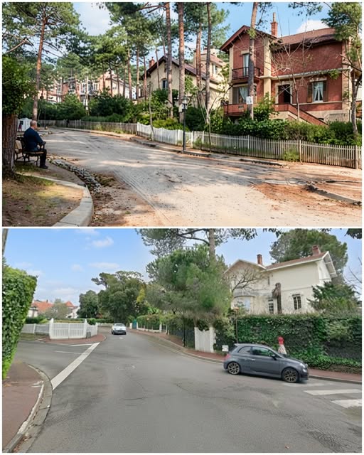 Archive historique : Allée Velpeau à nos jours, les villas visibles sont de gauche à droite N°6...