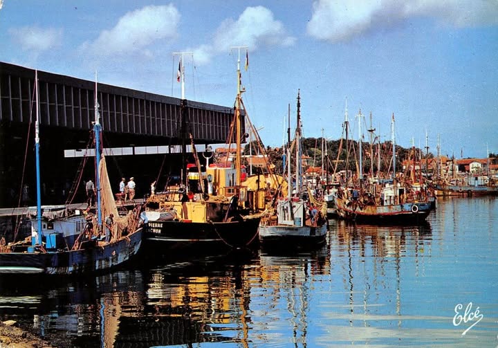 Archive historique : Le Port de Pêche années 60