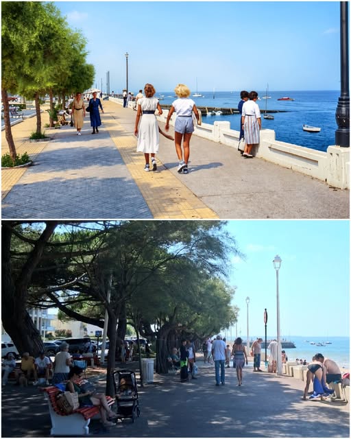 Archive historique : Regardez comme la promenade du bord de mer a évolué en 71 ans ! Une petite...