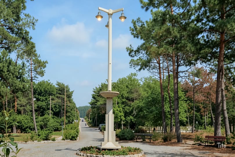 Archive historique : Vers 1920, rond-point du Figuier et le jardin. Le nom Place Daniel Meller n'a été...