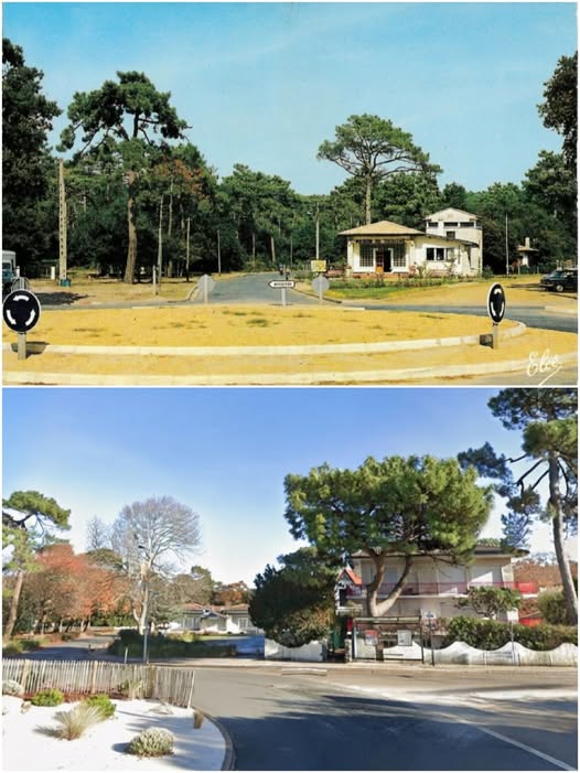 Archive historique : Vers 1965, au Pyla un rond-point pelé, une maison du tourisme créée dès 1925, la...