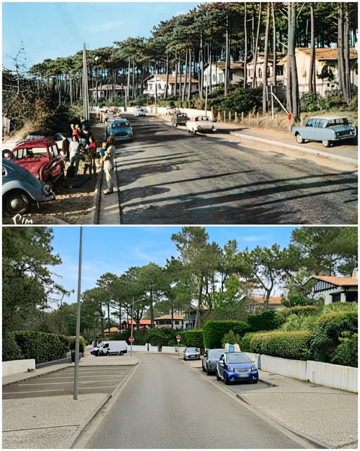 Archive historique : vers 1960 du 19 au 27 avenue Louis Gaume, des 403, des 4L, des Ami 6, une...