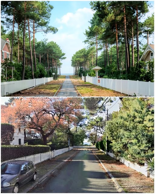 Archive historique : Il s'agit de l'allée des Roses en direction Est/Ouest vers le Bassin, la villa...
