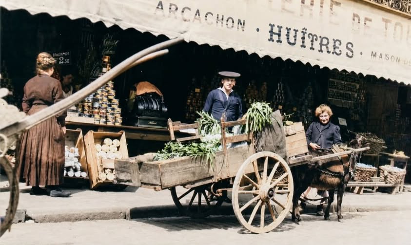 Archive historique : Photographie Arcachon vers 1900, charrette, huîtres et charme d'antan