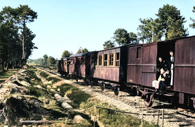 Archive historique : Photographie du petit train Pulman dans les années 50 forêt de Cazaux la...