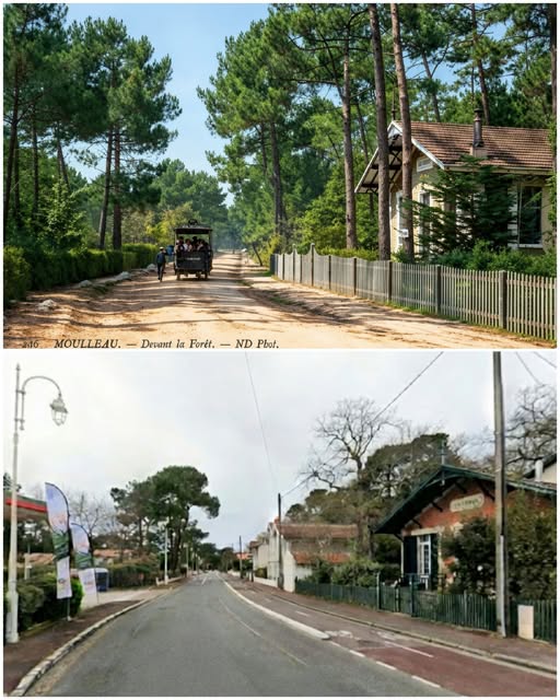 Archive historique : Vers 1900 Villa La Forêt