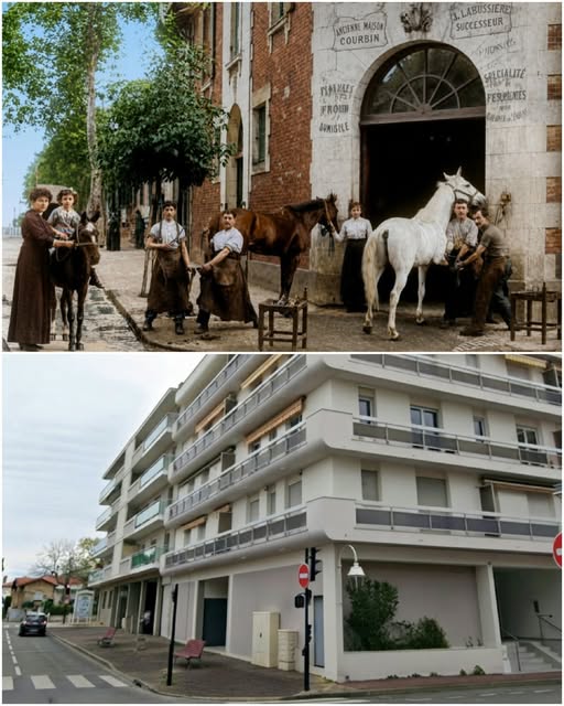 Archive historique : Vers 1904 à l'angle de la rue François Legallais et de la rue Jéhenne, Maréchal...