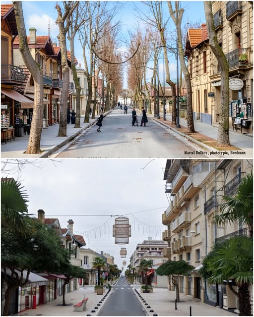 Archive historique : Vers 1900 Avenue Gambetta à l'extrême-droite, on devine la librairie où Madeleine...