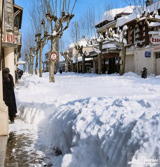 Archive historique : Février 1956 avenue Gambetta sous la neige