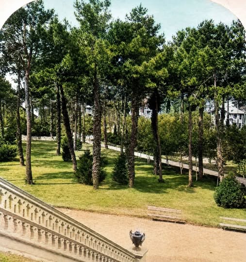 Archive historique : Arcachon, fin XIXe siècle vue stéréoscopique du Parc du Casino par les frères...