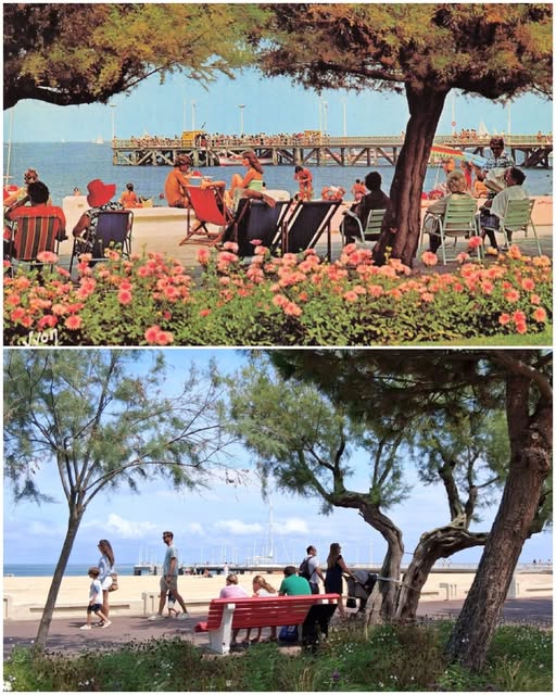 Archive historique : Arcachon plage années 70 à nos jours ,, enfin aujourd'hui,,